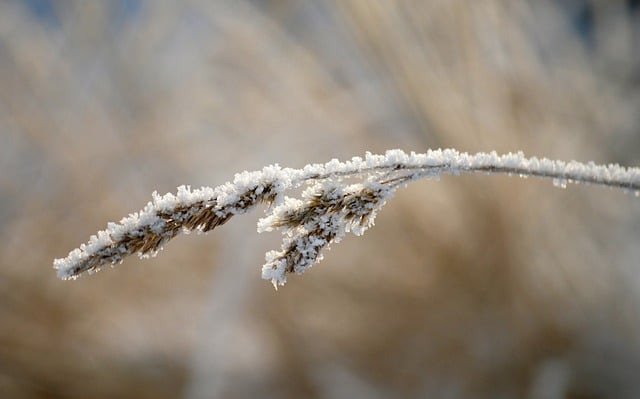 Frostskader på huden: Myter og fakta