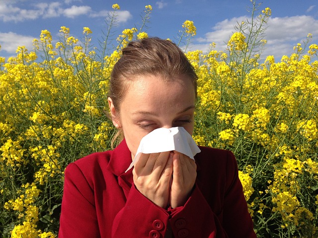 Hvordan kan du undgå at få allergi af støv og fnug i dit hjem?